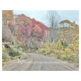 153 +/- Acre Mercer County, WV Land