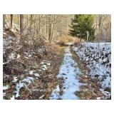 30+/- Acre Nicholas County Land 