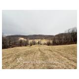23+/- Acre Harrison County Land 