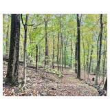 51+/- Acre Calhoun County WV Land with Timber 