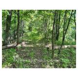 19.7+/- Acre Wetzel County WV Land 