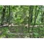 19.7+/- Acre Wetzel County WV Land 