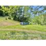 24 +/- Acres Braxton County Land 