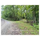 31 +/- Acres Land, Ritchie County 