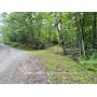 31 +/- Acres Land, Ritchie County 