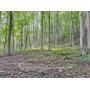 144 +/- Acres Pleasants County WV Land 