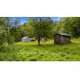 House, Barn on 69 Acres Lewis County   