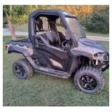 2017 Utv-2024 6x10 trailer-Guns-Coins-Ammo-Antiques