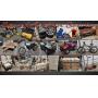 SAS ORV Vehicles, Tools, Furniture Online Auction
