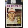 Sports Cards & Memorabilia