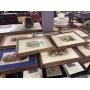 Admission Free Estate Sale Live