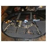 Hoyt Vector Compound Bow with case, Broad Head arrows - $375.00