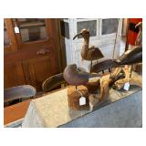 50% off shorebird on left