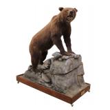 192-1 Life-size Grizzly Bear mount taxidermy displayed on faux rock habitat base on wheels 