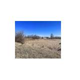 13100 Cameron Drive, Brighton, Colorado 80603