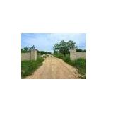 556 FM 3381, Comanche, Texas 78584 (aka 566 FM 3381)