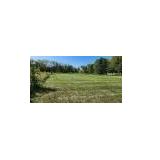 157G Helm Road, Barrington Hills, Illinois 60010