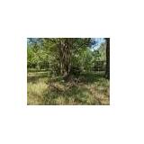 Gainesville FL Residential Land