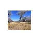 13100 Cameron Drive, Brighton, Colorado 80603