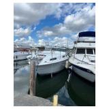 Boat Auction