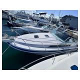 Boat Auction