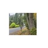 Vashon WA
