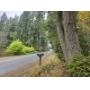 Vashon WA Land