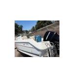 Boats & Engines Auction