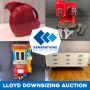 The Lloyd Downsizing Auction - Overland Park, KS