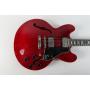 The Hoard! Guitars, Banjos, Ukuleles, Amps, Violins & More! Single-Owner Collection!