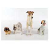 Collection of Dogs