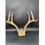 Federal Way - Online Collectibles & Misc. Auction