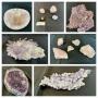 Schultz Trust Amazing Rock and Shell Collection Online Sale  Bidding ends 5/7