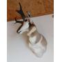 Rugged & Rare: Tools, Armory Finds, Outdoor Essentials, Antiques & More! 