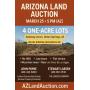 Online Auction: 4 One-Acre Lots in Dolan Springs, AZ