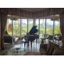 +++UPDATED! High End Hollywood Regency Meets French Provincial Meets Tuscany Estate Sale