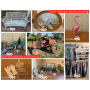 Estate Sale in Nipomo, CA