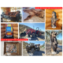 Estate Sale in Clovis, CA