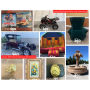 Estate Sale in Riverside, CA