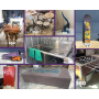 Estate Sale in Paso Robles, CA