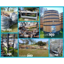 Downsizing Sale in Atascadero, CA