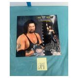 1996 WWF wrestling calendar