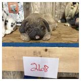Fawn Pug Dog Lying Down Figurine Statue