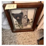 Vintage shadow box Bear print F. Massa