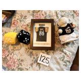 Dancing hamster Pitt Steelers, Framed  jersey Ward