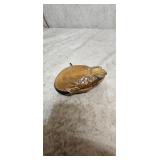 Toad Taxidermy Change Purse