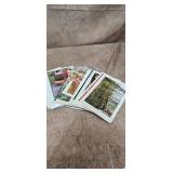 Lot of Photos and Prints