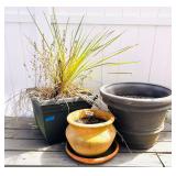 GROUP OF PLANTERS AND ONE LIVE PLANT