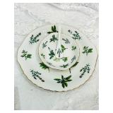 CLIASSIC ANDREA BY SADEK MADE IN JAPAN SET