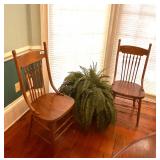 PAIR OF ANTIQUE OAK PRESSED BACK CHAIRS & FERN